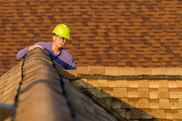 Roof Gutter Cleaning in St Michael, MN