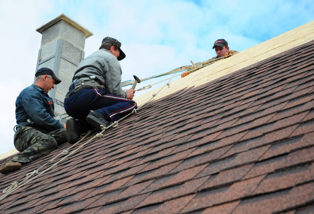Best Storm Damage Roof Repair  in St Michael, MN