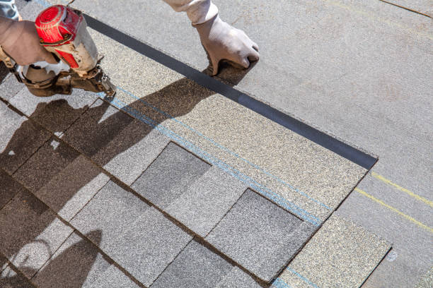 Best Residential Roofing Contractor  in St Michael, MN